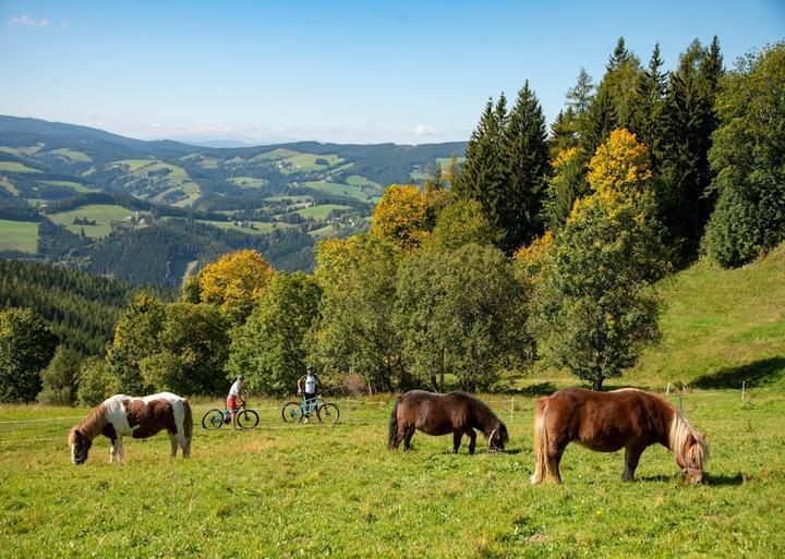 Gasthof & Pension Schloßbraeu